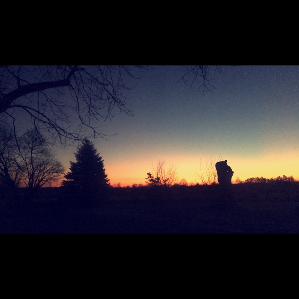 Meet your Posher, Gracie